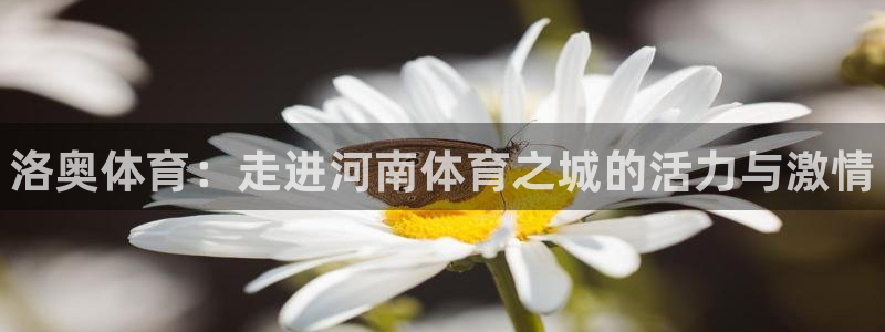 海南oety欧亿体育官网下载发展怎么样：洛奥体育：走