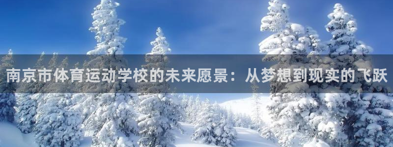 oety欧亿体育官网下载平台注册流程视频：南京市体育