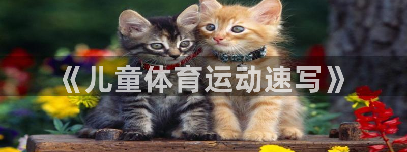 德国欧亿体育官方正版app集团：《儿童体育运动速写》