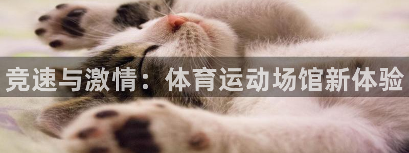 oety欧亿体育官网下载平台注册要钱吗安全吗：竞速与激情：体