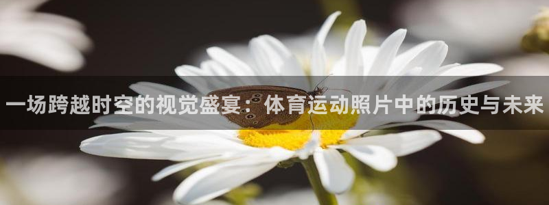 欧亿体育官方正版app集团E.ON