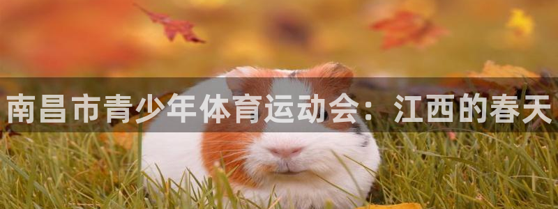 oety欧亿体育官网下载招商电话号码查询
