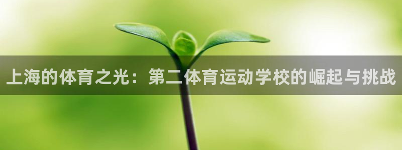 oety欧亿体育官网下载平台：上海的体育之光：第二体