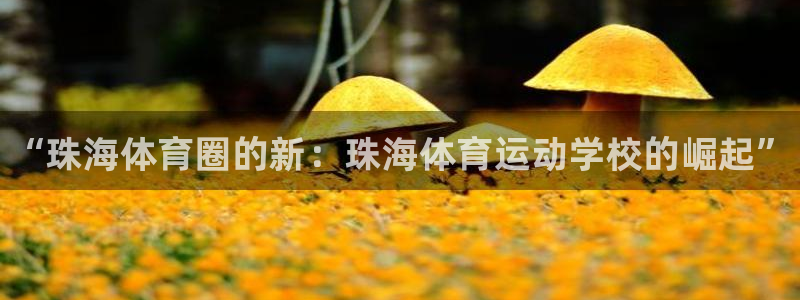 oety欧亿体育官网下载招商电话号码是多少啊：“珠海