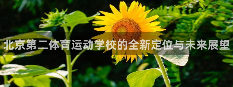 海南oety欧亿体育官网下载发展怎么样：北京第二体育