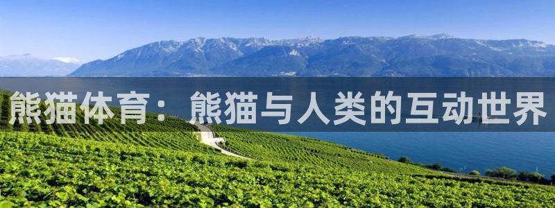 oety欧亿体育官网下载平台