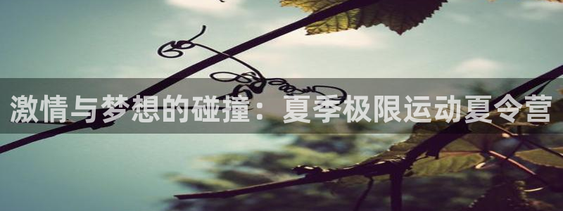 oety欧亿体育官网下载官方客服电话：激情与梦想的碰