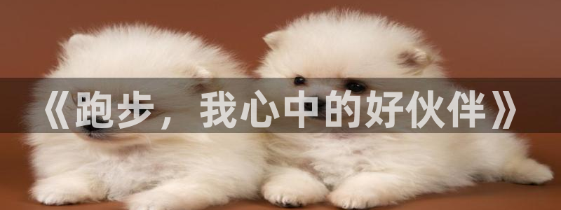oety欧亿体育官网下载平台APP：《跑步，我心中的好伙伴》
