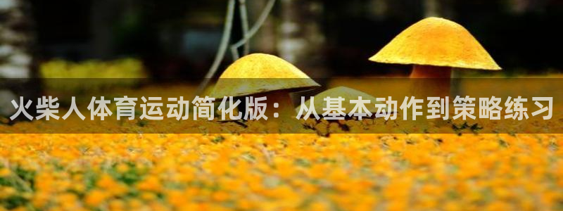 欧亿体育官方正版app集团官网首页网址：火柴人体育运