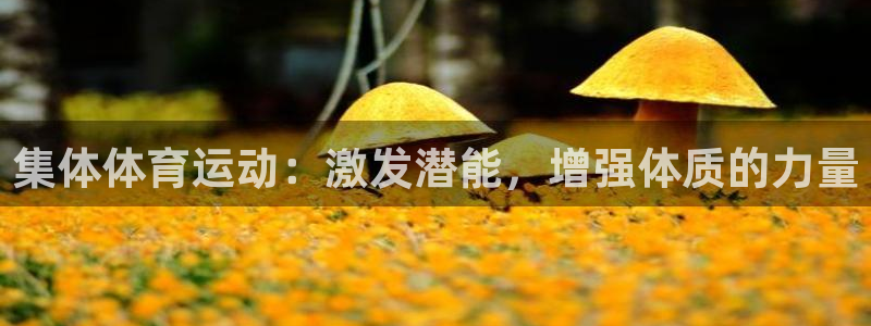 欧亿体育官方正版app集团：集体体育运动：激发潜能，