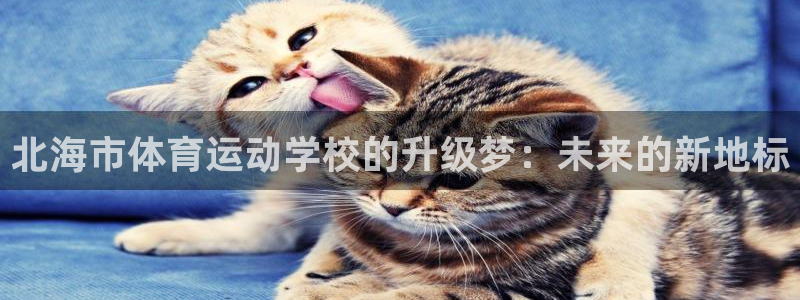 oety欧亿体育官网下载招商电话地址