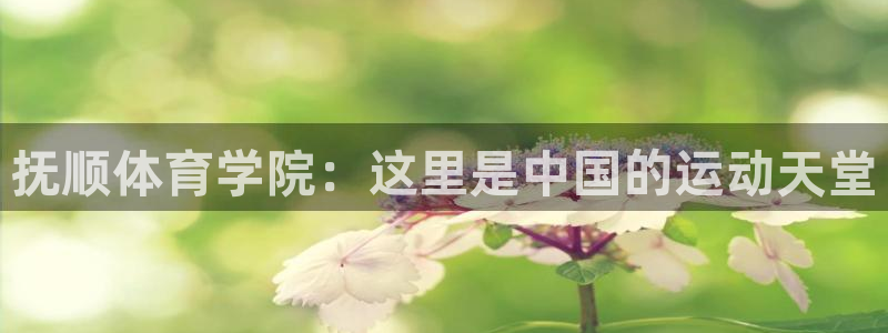 欧亿体育官方正版app娱乐40996