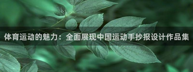 oety欧亿体育官网下载：体育运动的魅力：全面展现中国运动手