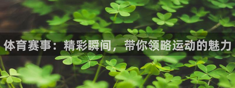 欧亿体育官方平台体育：体育赛事：精彩瞬间，带你领略运动的魅力