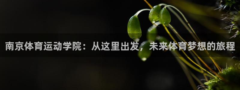 海南oety欧亿体育官网下载发展怎么样：南京体育运动学院：从