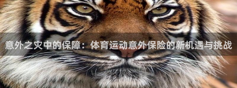 欧亿体育官方正版app神州：意外之灾中的保障：体育运动意外保