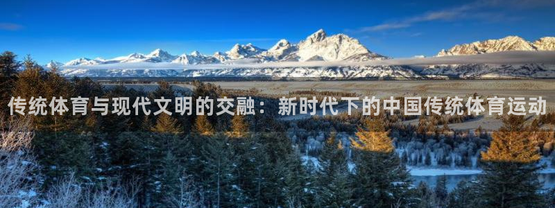 oety欧亿体育官网下载平台是正规平台吗知乎：传统体育与现代